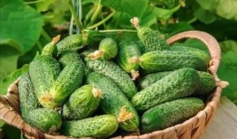 最近大瓜事件,揭秘明星隐私风波背后的真相